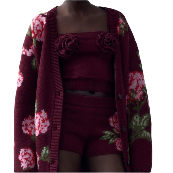 🍒NWT🍒 Magda Butrym X H&M Wool-blend Rosette Tank Knit Top in Burgundy, Size XL - Picture 4 of 10